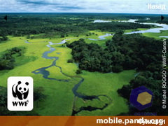 ��������� Nokia E75