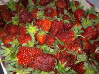 ����� ������ ������������ ��������� Nokia N97