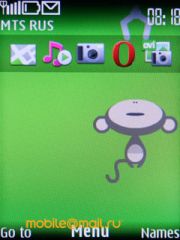 ����� Nokia 6303 classic. �������� ����������