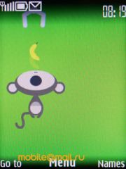 ����� Nokia 6303 classic. �������� ����������