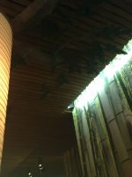 ����� Nokia 6303 classic. �������� ����������