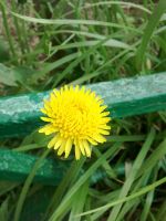 ����� Nokia 6303 classic. �������� ����������