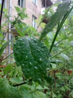 ����� Nokia 6303 classic. �������� ����������