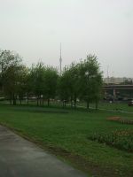 ����� Nokia 6303 classic. �������� ����������