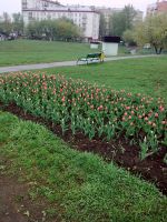 ����� Nokia 6303 classic. �������� ����������