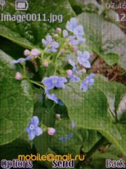 ����� Nokia 6303 classic. �������� ����������