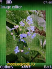 ����� Nokia 6303 classic. �������� ����������