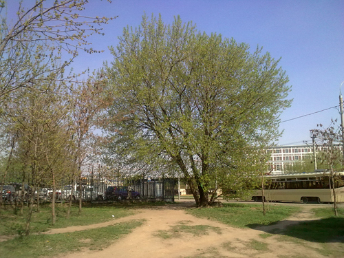 ����� ���������� �������� Nokia 6303 Classic