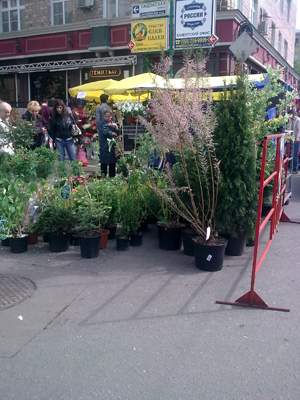 ����� ���������� �������� Nokia 6303 Classic