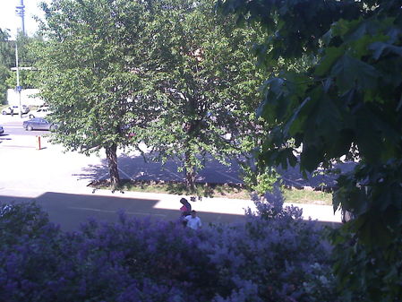 Motorola Aura: ������� � ����� ����