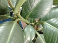 ����-��������� 8 �� ����� Samsung I8910 HD � LG GC900 Viewty Smart