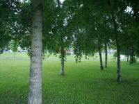 ����� Nokia N86: ������ ����������� � �������������� ����������