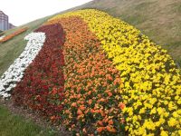 ����� Nokia N86: ������ ����������� � �������������� ����������