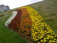 ����� Nokia N86: ������ ����������� � �������������� ����������