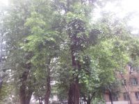 ����� Nokia N86: ������ ����������� � �������������� ����������