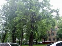 ����� Nokia N86: ������ ����������� � �������������� ����������