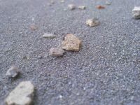 ����� Nokia N86: ������ ����������� � �������������� ����������