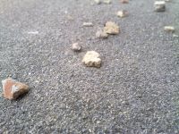 ����� Nokia N86: ������ ����������� � �������������� ����������