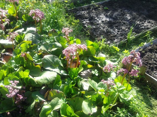 ����� Samsung GT-S8300 UltraTouch: ��������� ���������