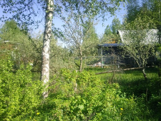 ����� Samsung GT-S8300 UltraTouch: ��������� ���������