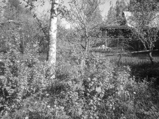 ����� Samsung GT-S8300 UltraTouch: ��������� ���������