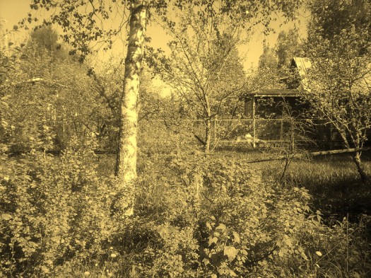 ����� Samsung GT-S8300 UltraTouch: ��������� ���������