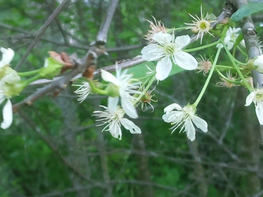 ����� Samsung GT-S8300 UltraTouch: ��������� ���������