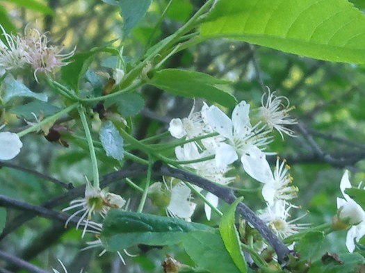 ����� Samsung GT-S8300 UltraTouch: ��������� ���������