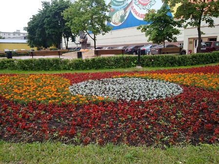 Nokia N97: ������ �������