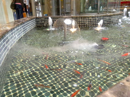 Nokia N97: ������ �������