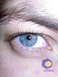 ���������� � ������ Fly E125