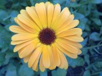 ������ ����� Nokia 5530 XpressMusic. ����� ��������� ��������� ��������