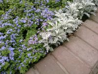 ����� Nokia E52. ������������ ����������� ����