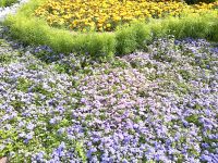 ����� Nokia E52. ������������ ����������� ����