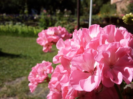 Samsung i8910 Omnia HD: �������� ���� HD-�����