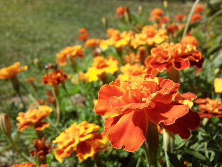 Samsung i8910 Omnia HD: �������� ���� HD-�����