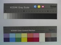 ���� �������� �������� Motorola V360