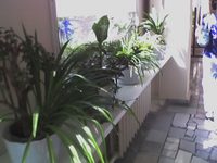 ���� �������� �������� Motorola V360