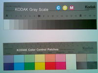 ���� �������� �������� Nokia 6101