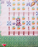 ����� �������� �������� Samsung SGH-X810