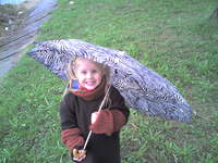 ���� Siemens M75