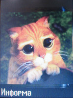 ���� Siemens M75