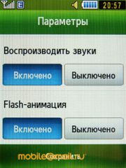 Samsung S3650 Corby