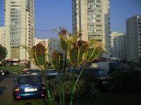 Samsung i8510 INNOV8 (8Gb)