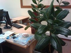 ����� HTC Smart: ����� � ������-������ ��������