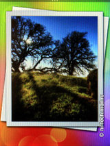 ����� HTC Smart: ����� � ������-������ ��������