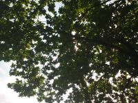 Nokia 7610 Supernova