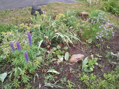 ������ ����� Samsung S8500 Wave: ����� ������� ��������