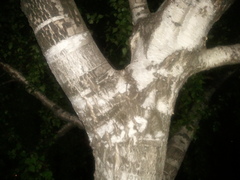 ������ ����� Samsung S8500 Wave: ����� ������� ��������