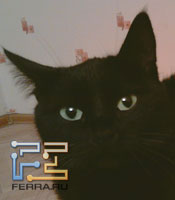 p_IMAG0034